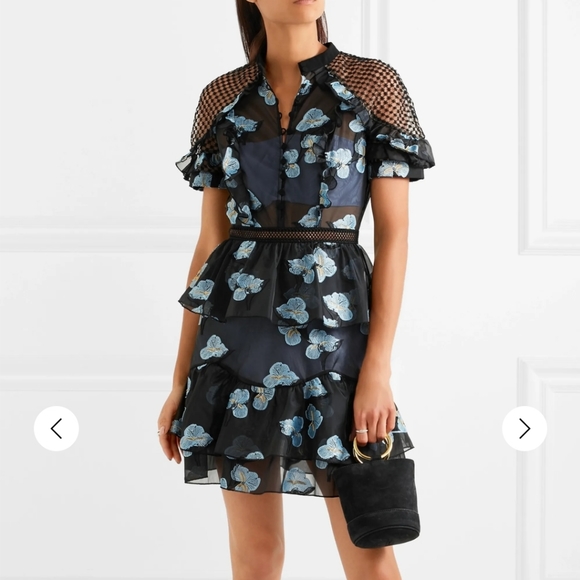 Self-Portrait Dresses & Skirts - NWOT Fil Coupé Open-Back Cape Mini Dress
